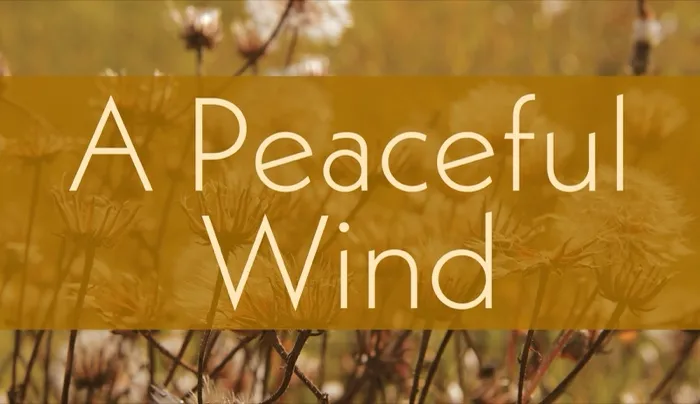 Production art for A Peaceful Wind