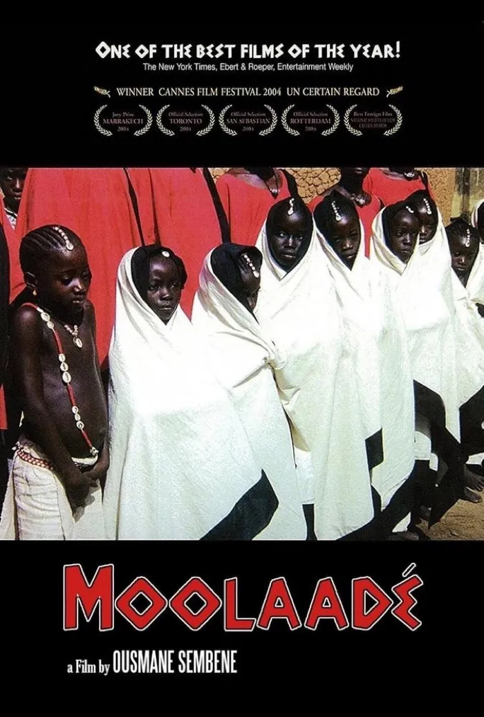 Production art for Moolaadé
