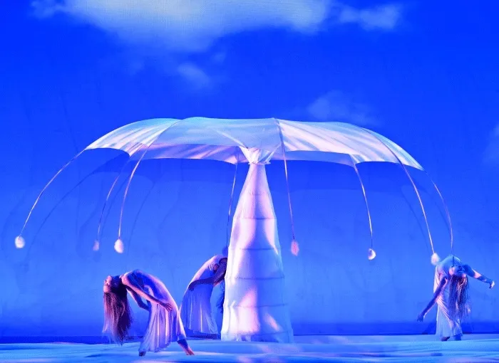 Production art for MOMIX Botanica