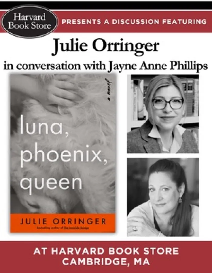 Production art for Julie Orringer at Harvard Book Store
