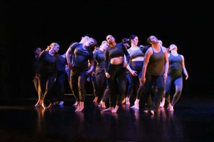 Production art for Repertory Dance Ensemble Presents: The Fall Dance Concert