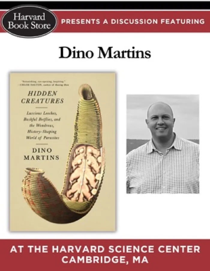 Production art for Dino Martins at the Harvard Science Center