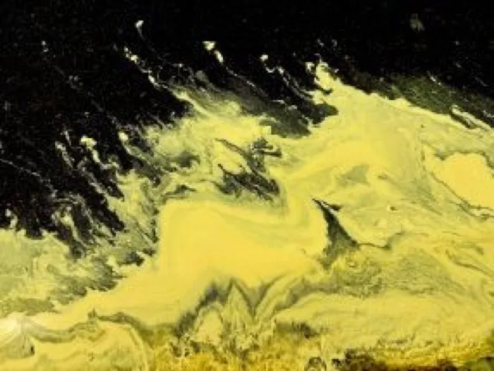 Production art for Public Research Talk: Transcending the Ordinary: Thoreau's Second Experiment