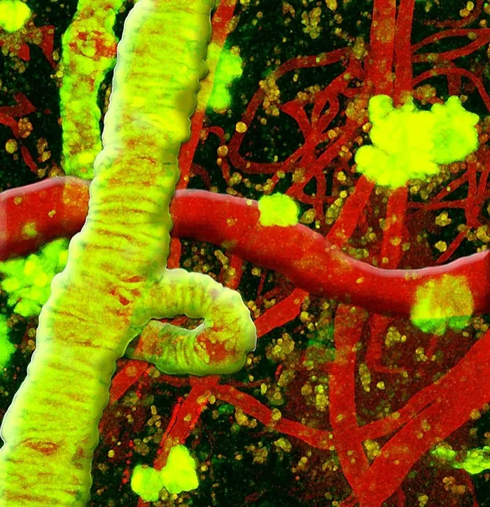 Production art for 15th Annual Tufts Neuroscience Symposium & Shucart Lecture