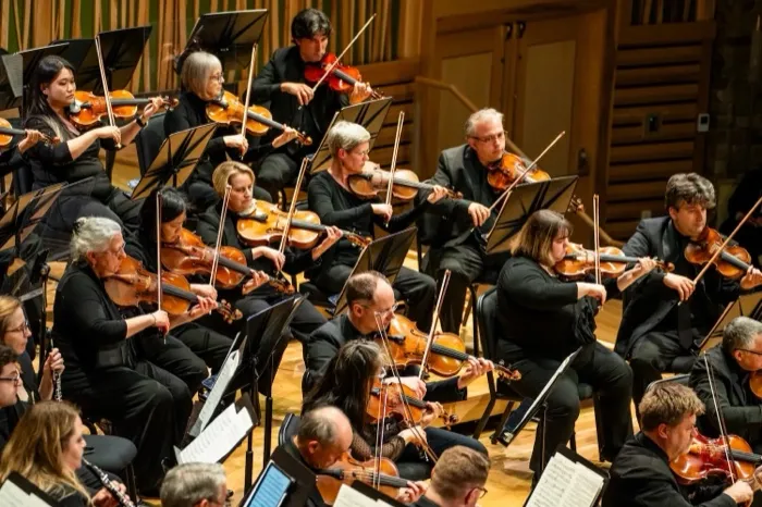 Production art for Vista Philharmonic Orchestra – Unique Impressions