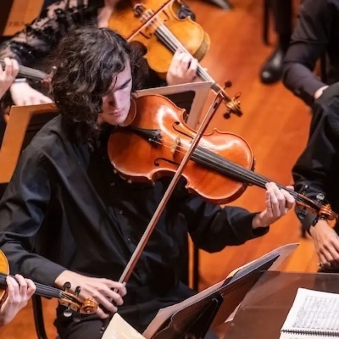 Production art for NEC Symphony + David Loebel: Montgomery, Haydn and Dvořák
