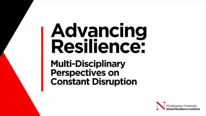Production art for Advancing Resilience: Multi-Disciplinary Perspectives on Constant Disruption