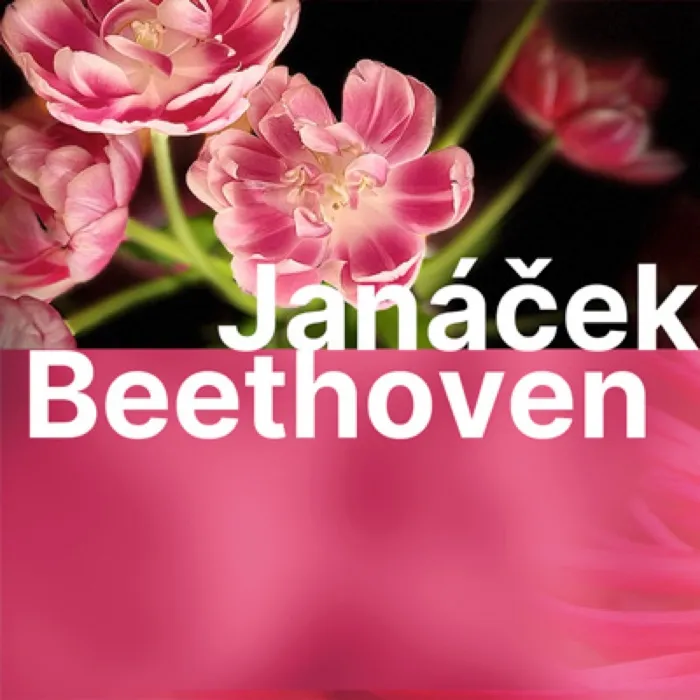 Production art for Janáček Kreutzer Sonata Quartet and Beethoven Razumovsky Quartet — Salem