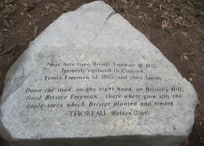 Production art for Public Research Talk: Transcendentalism, Memorialization, and Harvard's Slavery History