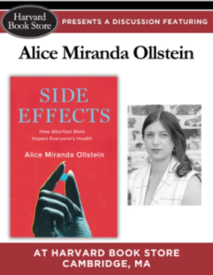 Production art for Alice Miranda Ollstein at Harvard Book Store