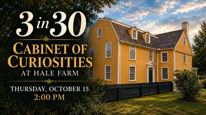 Production art for 3 in 30: Cabinet of Curiosities at Hale Farm