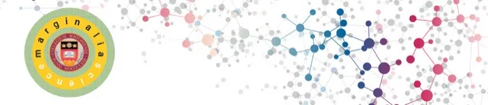 Production art for Marginalia Science x Boston College: Amplifying Diverse Scholarship in the Psychological and Social Sciences