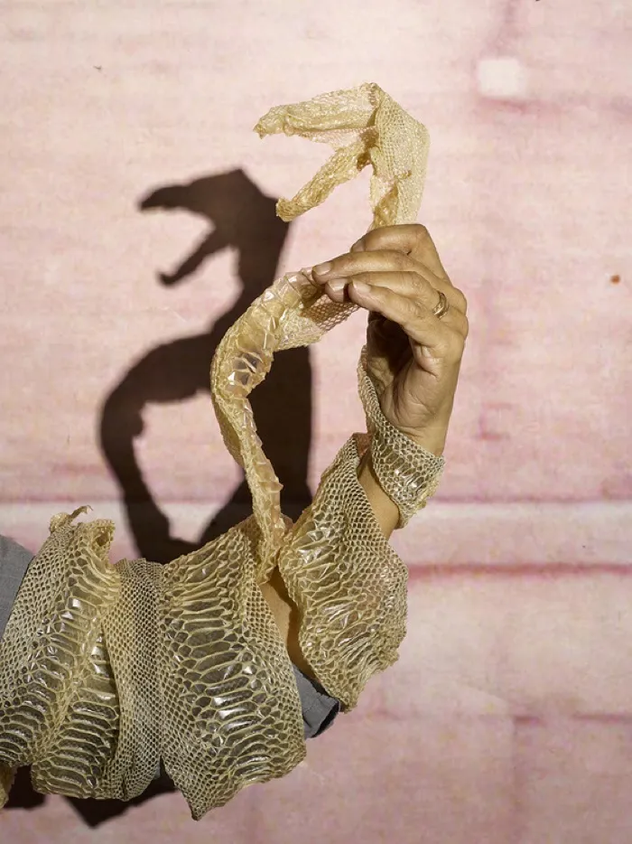 Production art for Fall 2026 Photo Lecture Series: Sheida Soleimani