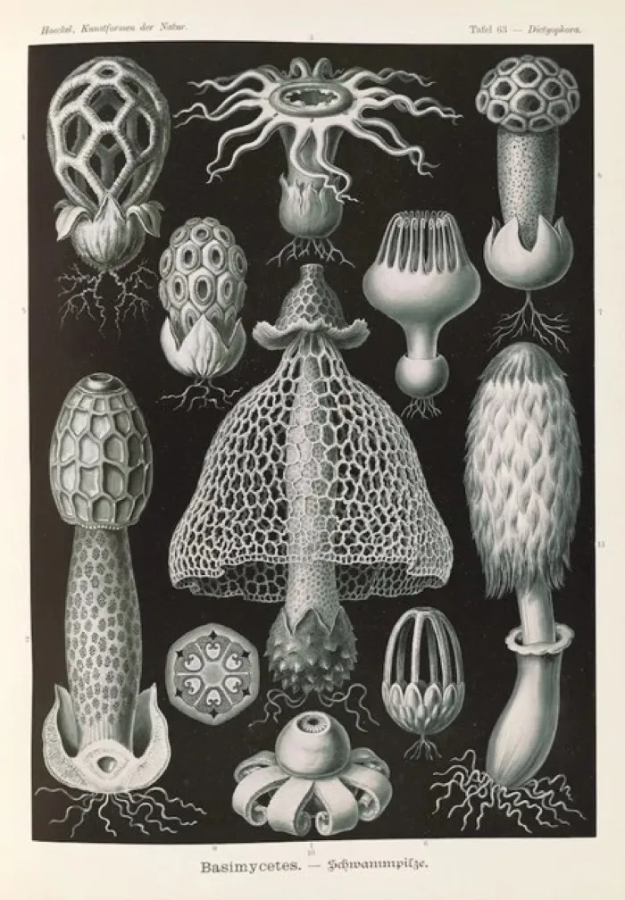 Production art for Public Research Talk: Passionate Micrology: Thoreau and Nietzsche’s Erotics of the Closest Things with Nicholas Low