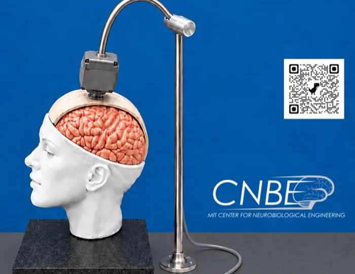 Production art for MIT Neurotech 2026