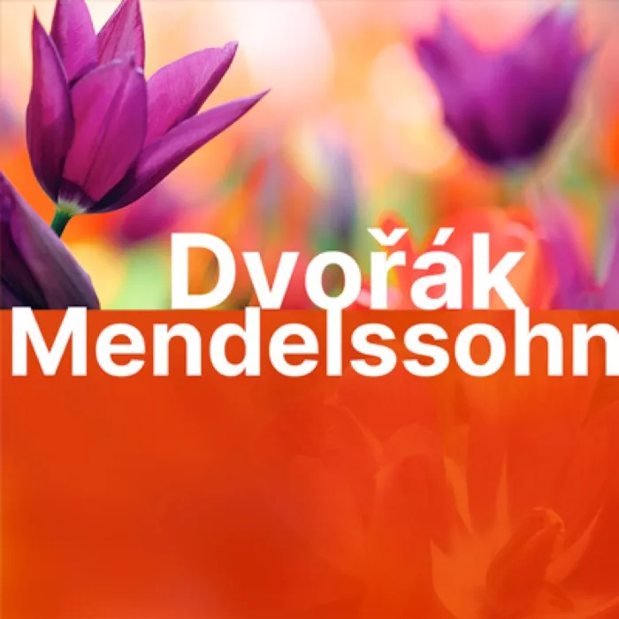 Production art for Dvořák String Quartet No. 14 and Mendelssohn String Quartet No. 2 — Salem