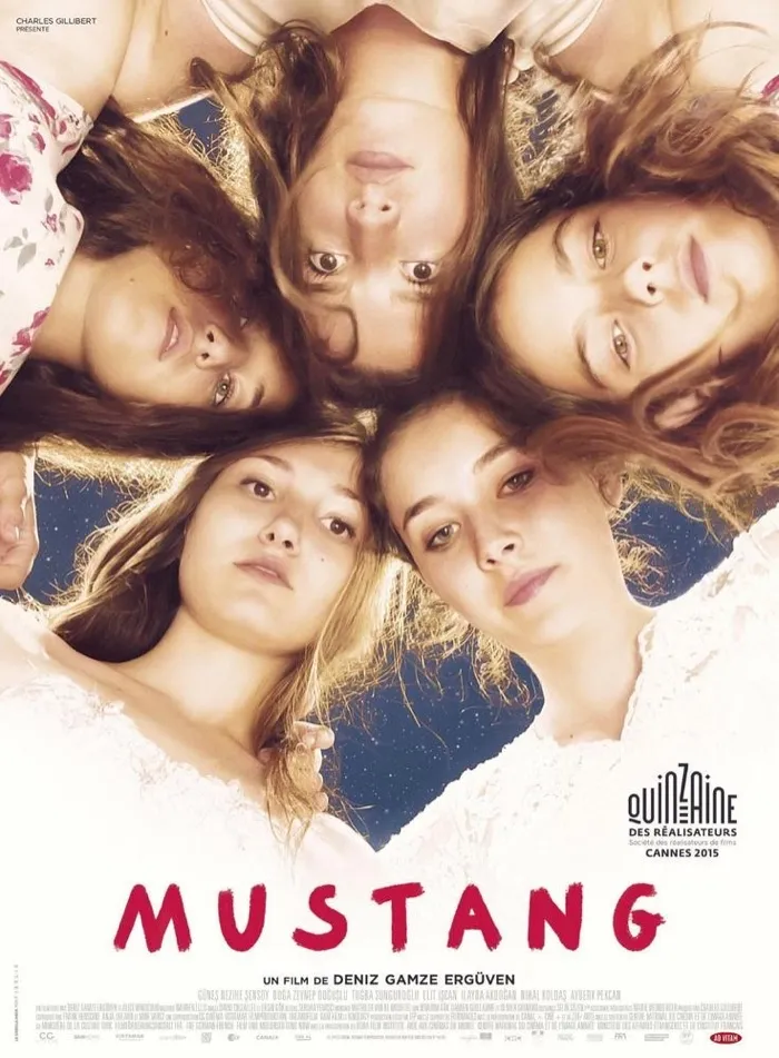 Production art for Mustang